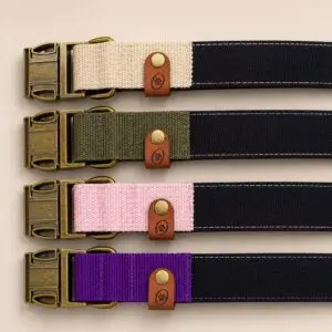 Vier Dog Of Wood Halsbänder mit Baumwollfütterung und Lederpatch vor hellem Hintergrund